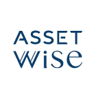 asset wise
